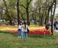 Lalele în Parcul Justiției FOTO Ștefan Both