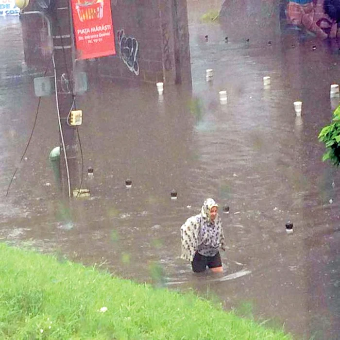 Primarul Aurel Enache: ”Ştiuleţii ăştia sunt atât de uscaţi că nici gâştele nu-i vor”