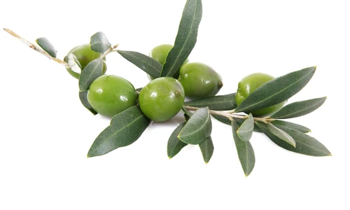 1 68017 original jpg jpeg