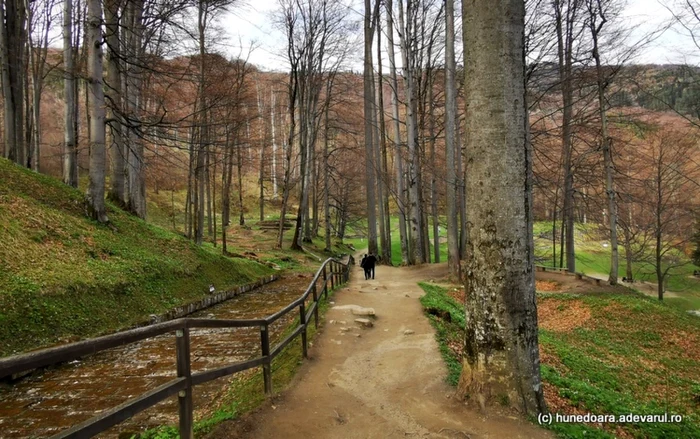 Drumul pavat (stânga) din Sarmizegetusa Regia. Foto: Daniel Guță