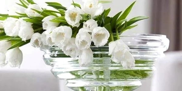 flori