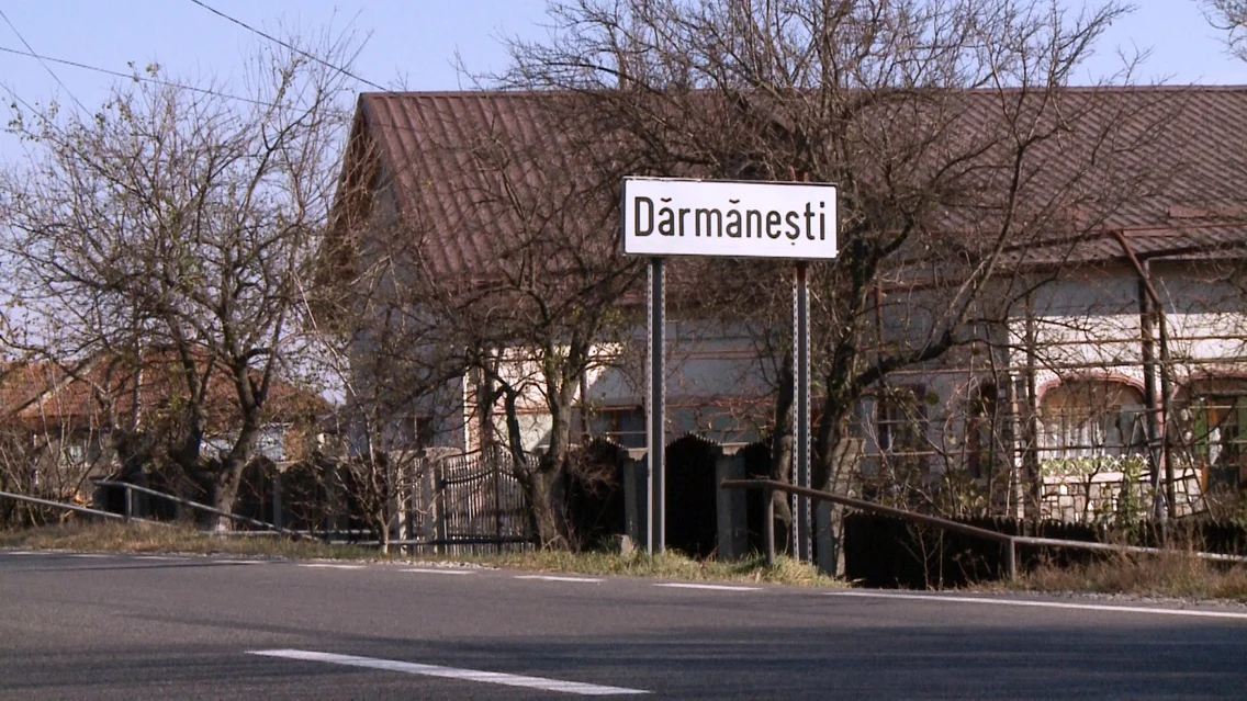Darmanesti electronice
