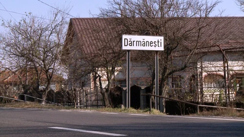 Darmanesti electronice