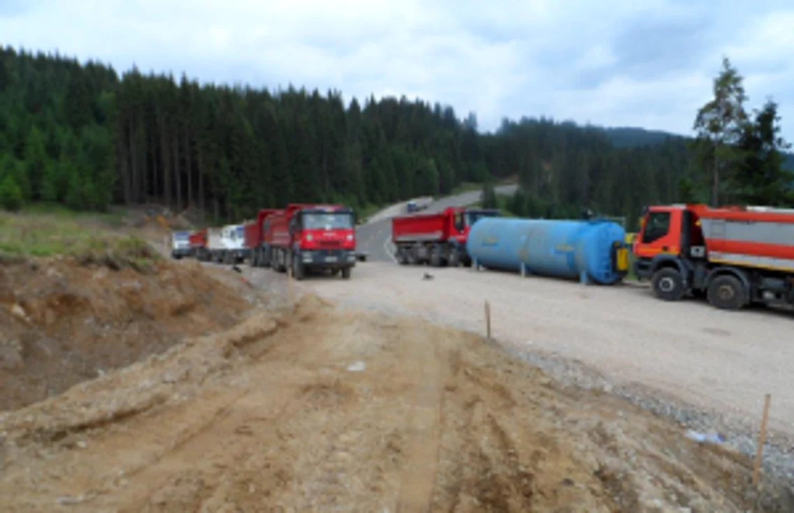 groapa de gunoi mestecanis. foto gheorghe sologiuc