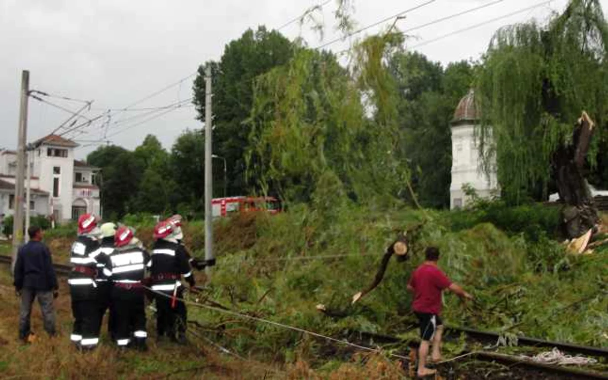 Un alt subiect discutat astăzi la Guvern a fost confruntarea perioadei caniculare. FOTO: Arhiva Adevărul