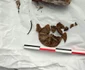 Un sarcofag roman intact, aparținând unui copil, descoperit la marginea de nord a necropolei tomitane