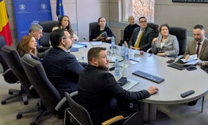 Oana Ţoiu sedinta de coordonare MAE Facebook Oana Ţoiu jpg