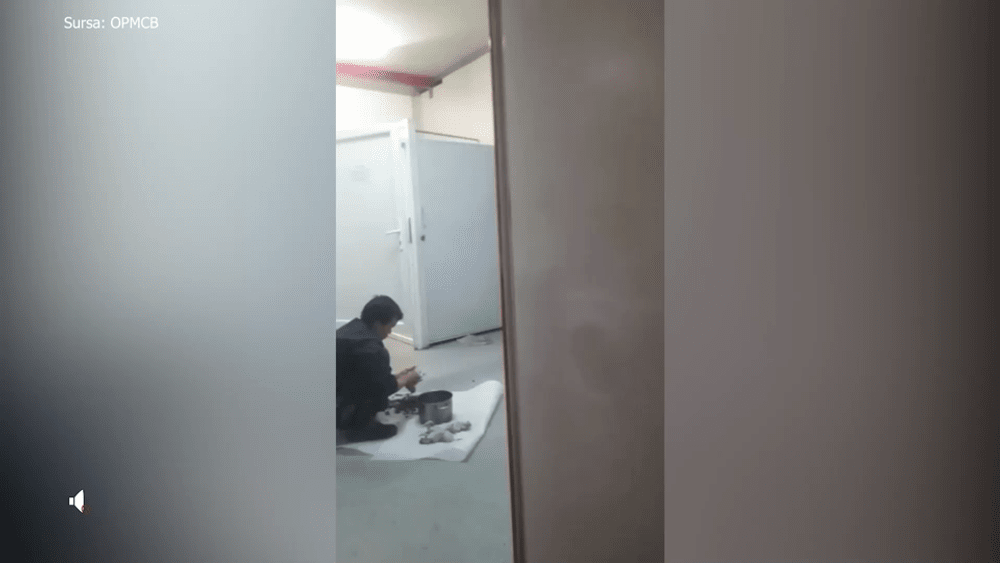 Vietnamez filmat la Cluj cum jupoaie un șobolan. „Capturează ilegal și mănâncă tot ce mișcă” VIDEO