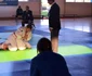 judo