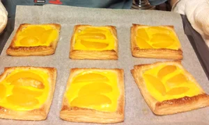 CLIIMA20121108 0057 1 jpeg