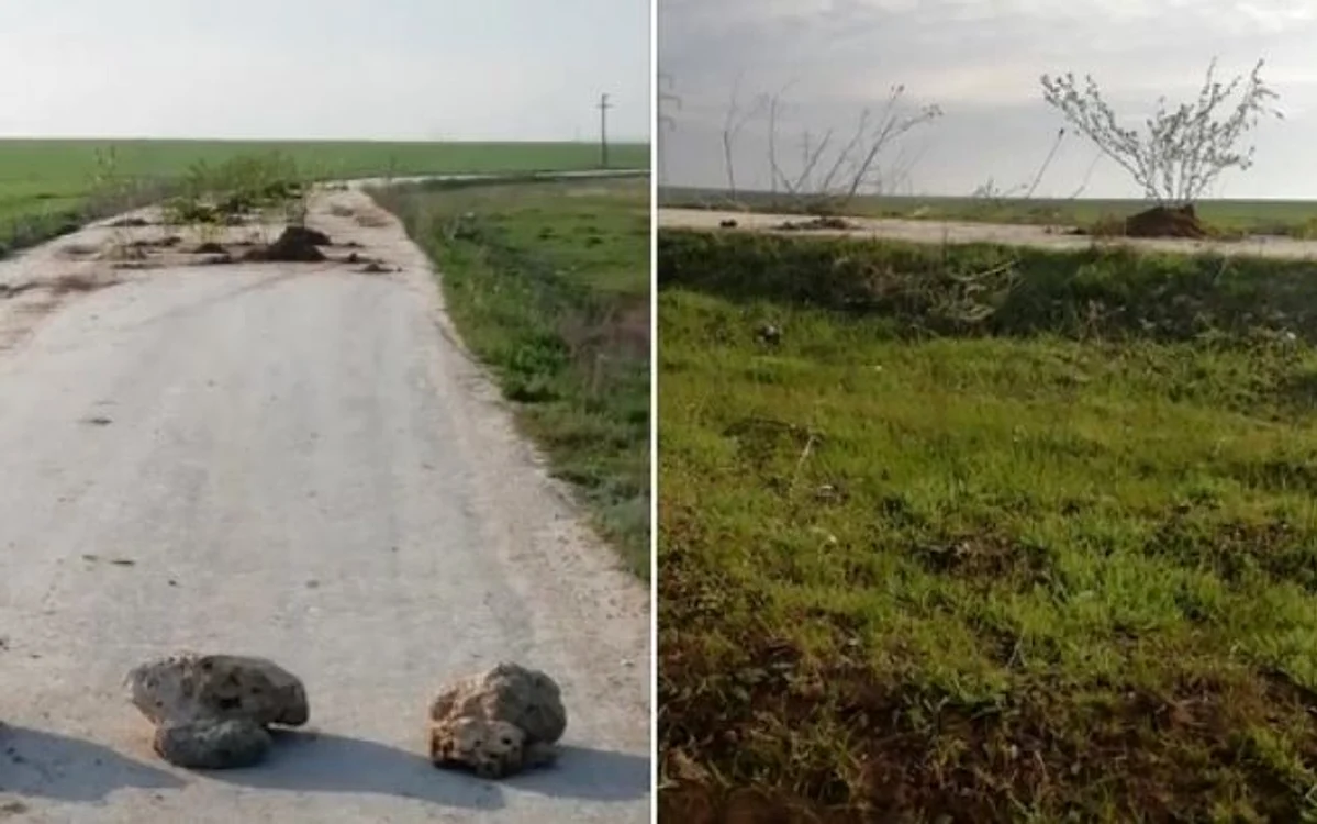 Captură video