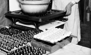 GettyImages 3109250 jpeg