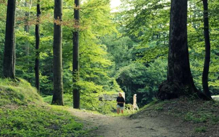 sarmizegetusa regia