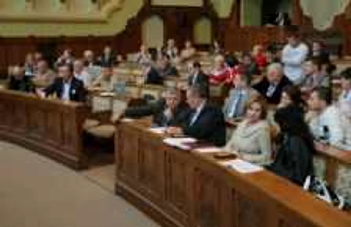 Nicoleta Bochiş, fost director în CJ Mureş, trimisă în judecată pentru mită foto arhivă