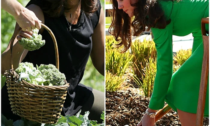 michelle obama, kate middleton jpeg