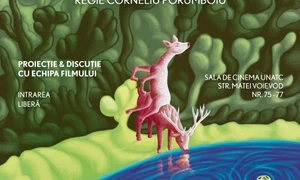 Proiecţie şi dezbatere „Al doilea joc“ jpeg