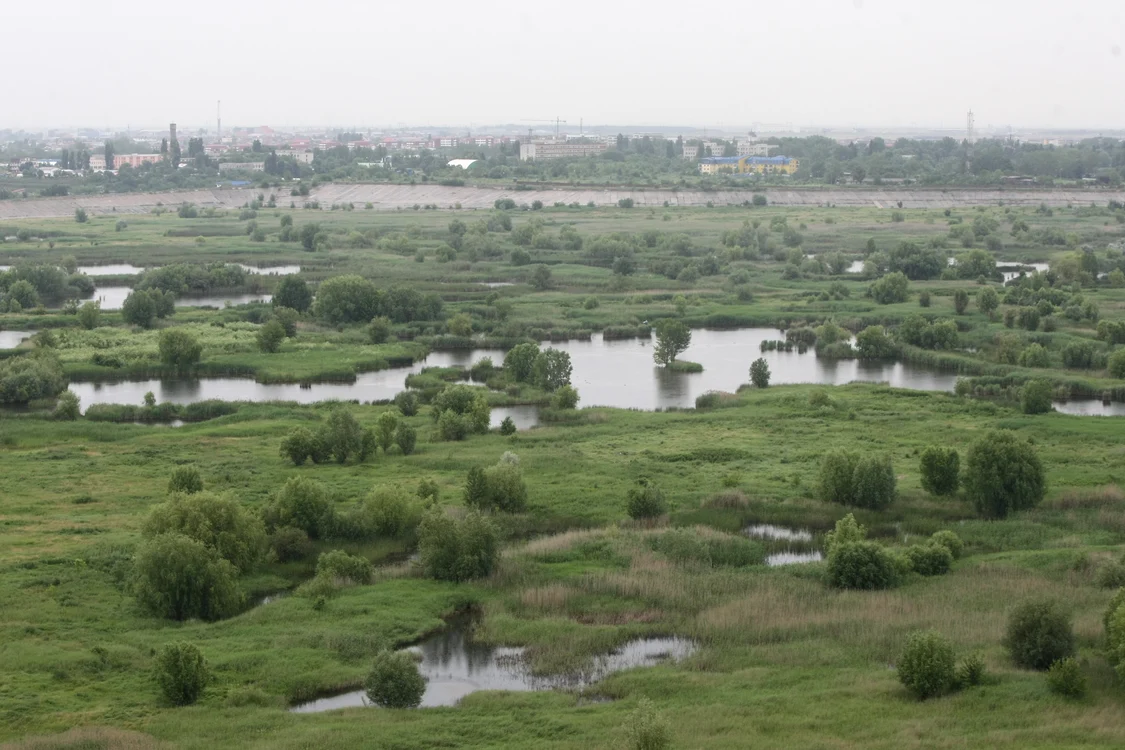Uite cum se vede de la etajul 17 parcul Văcăreşti