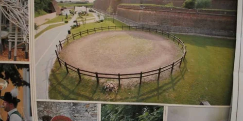 Parcuri noi in Oradea