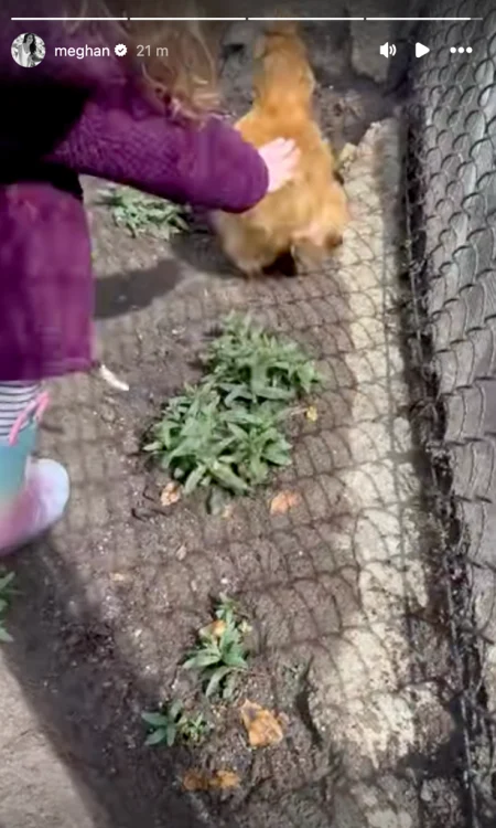 Lilibet cu găinile jpg