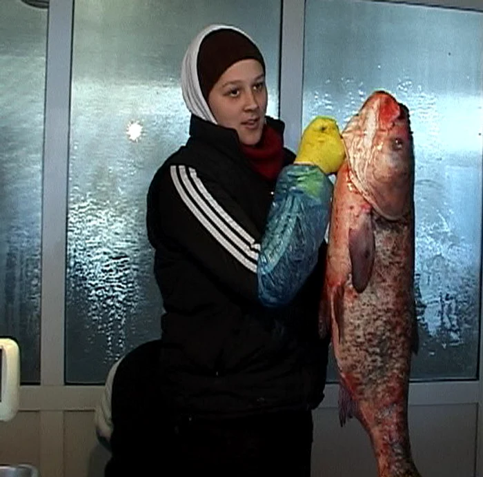 Maria cu novacul uriaş