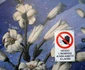 restrictii si interdictii foto lucian muntean 03 JPG