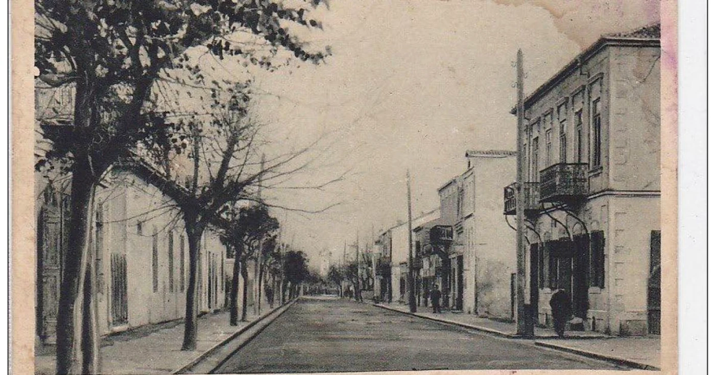 sulina