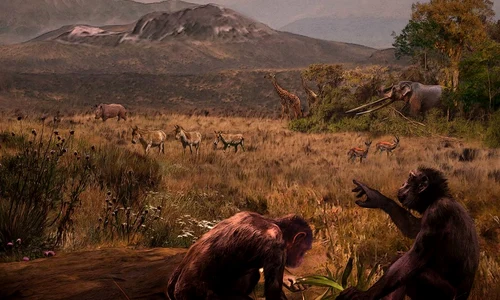 O reprezentare artistică a lui Graecopithecus freybergi, în mediul său natural, savana care exista în urmă cu 7,2 milioane de ani, în zona Atenei contemporane (© Facebook / Velizar Simeonovski)