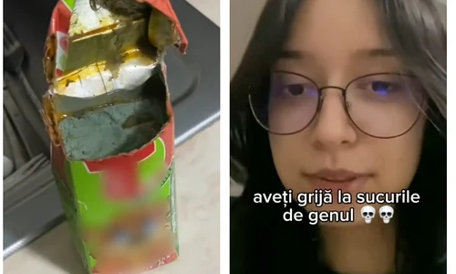 suc tedi mucegai jpg