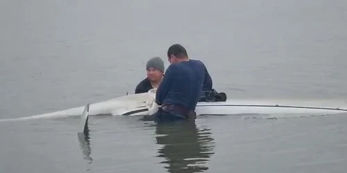 617e59585163ec42710303d1 jpg