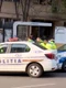 accident Monica Odagiu politie jpg