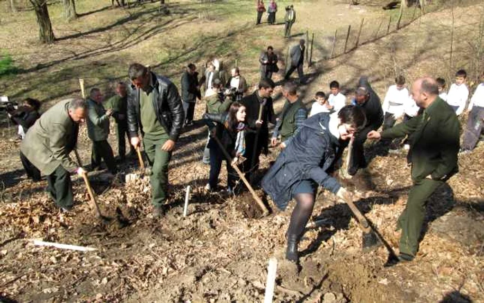 Campania de impadurire se incheie la mijlocul lunii aprilie. Foto Adevarul