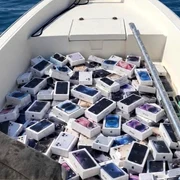barca telefoane jpg