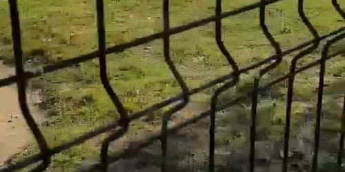 5b0fb80bdf52022f75a05908 jpg