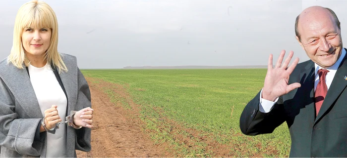 
    În comuna Nana, Elena Udrea are un teren  de 1,8 hectare, iar Traian Băsescu, unul de 290 de hectare, pe care a cultivat grâu  