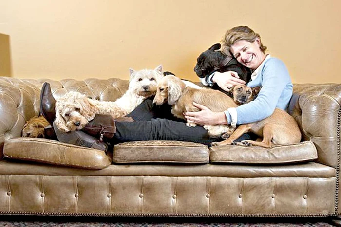 Căţeii pleacă de la hotel mai fericiţi decât au venit