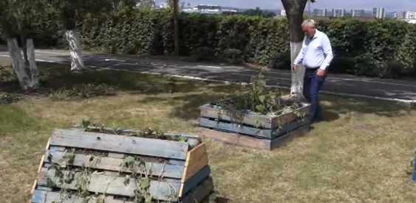 Standurile vor conţine principalele  varietăţi de legume şi flori FOTO I Bunilă.