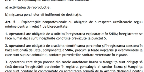 porci ordin reproducere
