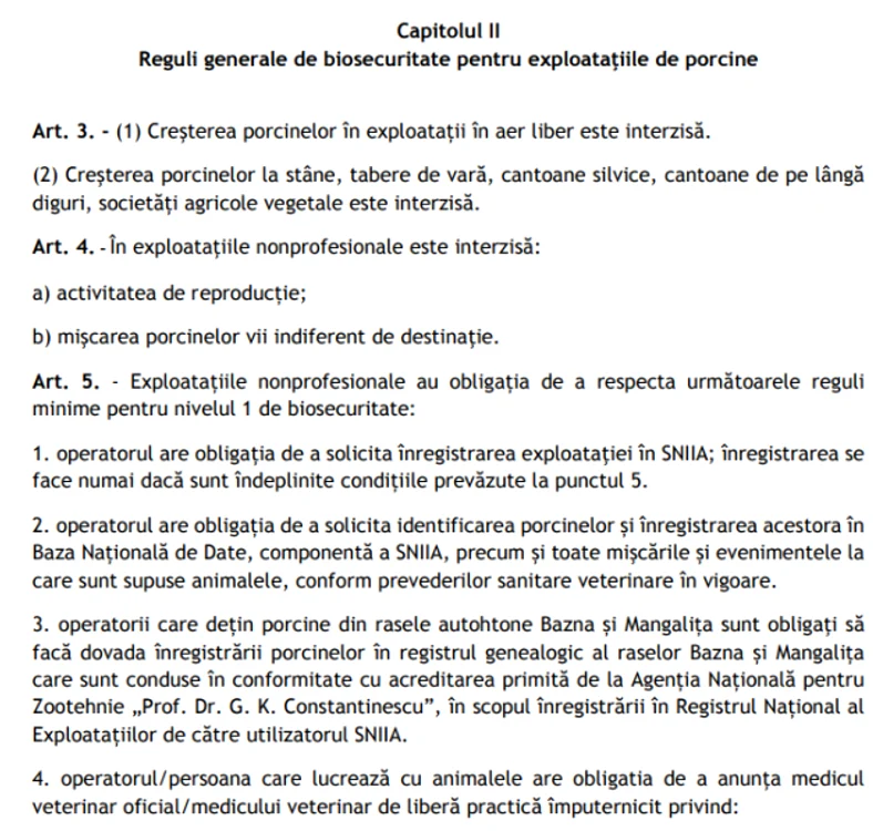 porci ordin reproducere