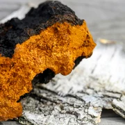 Screenshot 2026 04 18 164300 jpg