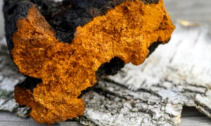 Screenshot 2026 04 18 164300 jpg