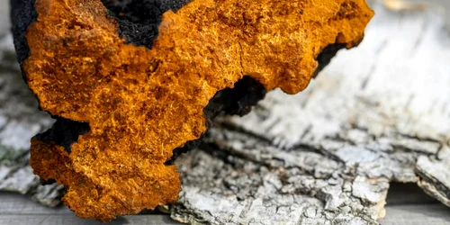 Screenshot 2026 04 18 164300 jpg