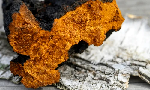 Screenshot 2026 04 18 164300 jpg