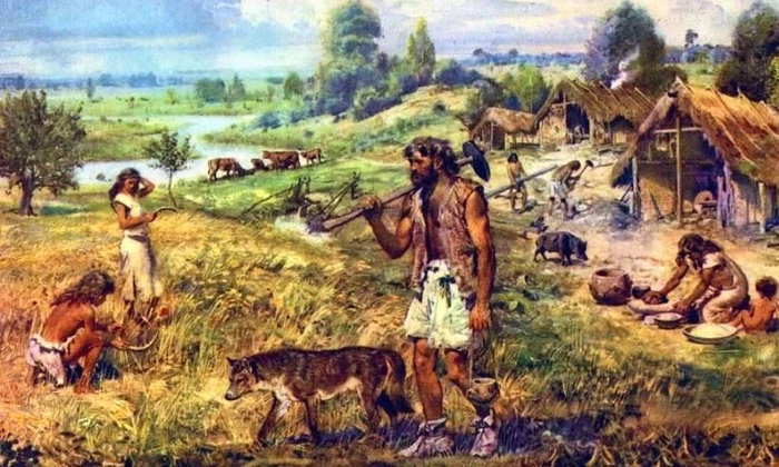 În Siberia câinii erau îngropaţi alături de oameni jpeg