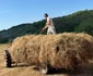 fânul pentru animale png