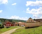 cricală de ceapă