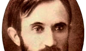 Nervi de primăvară png