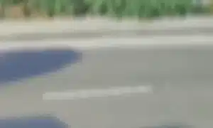 GIF Accident