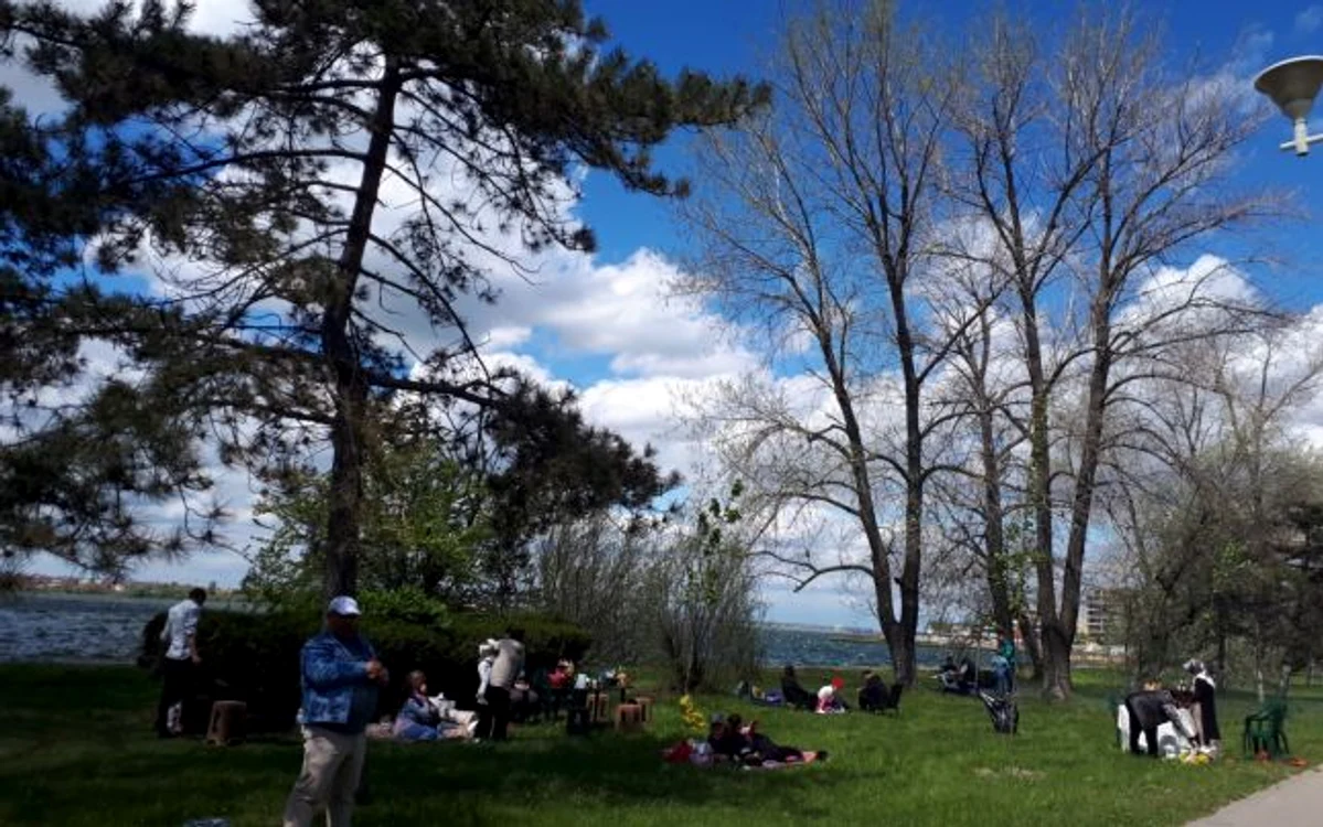 Grătare pe iarba verde din Mamaia FOTO Mariana Iancu