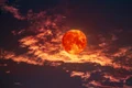 Luna sangerie horoscop shutterstock 2162086307 jpg