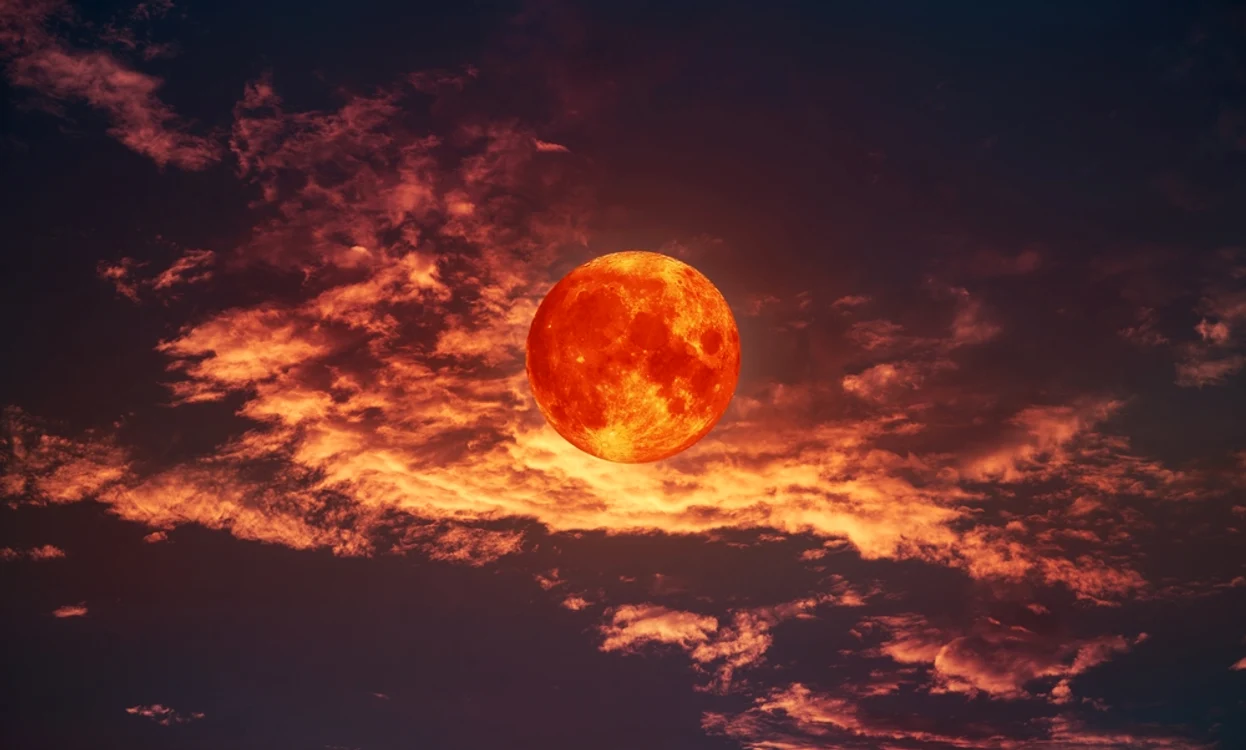 Horoscop 6 februarie 2023